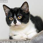 Eleanora Beatty Profile Picture