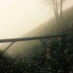 Amparo Larkin Profile Picture