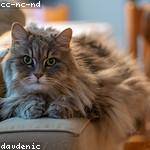 Geo Franecki Profile Picture